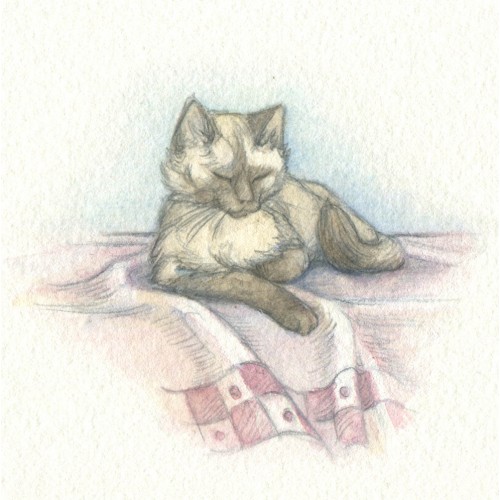 Miniature Painting - Siamese Cat  						